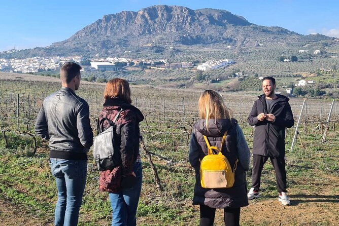 Malaga Organic Vineyard and Winery Six Wines Tapas and Transfer - What the organic focus means for you