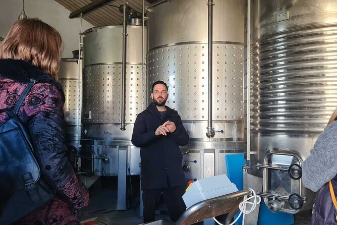 Malaga Organic Vineyard and Winery Six Wines Tapas and Transfer - The guides shape the mood