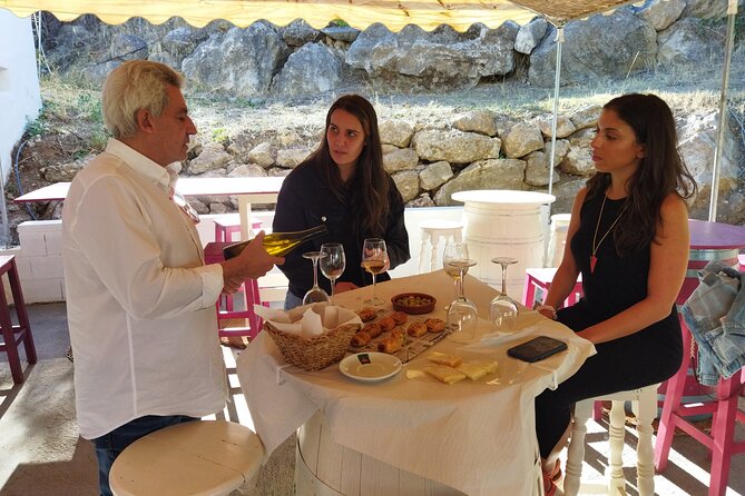 Malaga Organic Vineyard and Winery Six Wines Tapas and Transfer - Timing, comfort, and practical details