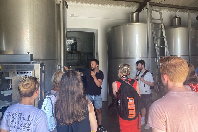 Malaga Organic Vineyard and Winery Six Wines Tapas and Transfer - Walking among the vines at 400 meters