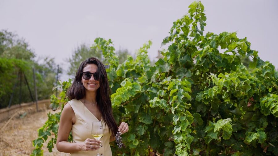 Malaga: Organic Vineyard Tour with 6 Wines, Tapas & Transfer - Why This Malaga Wine Tour Is Worth Your Time