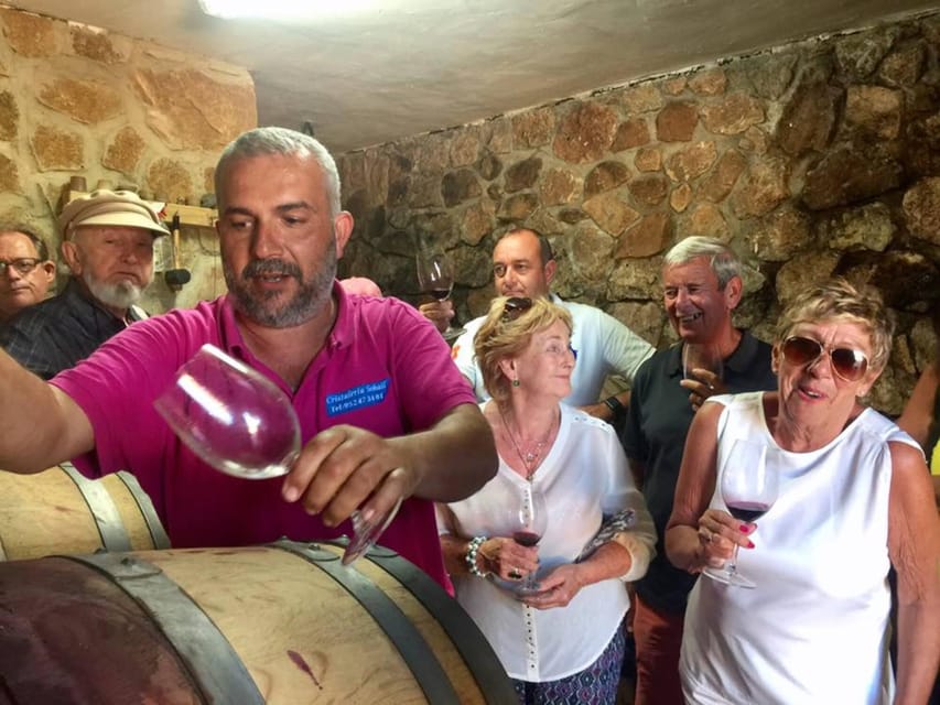 Malaga: Organic Vineyard Tour with 6 Wines, Tapas & Transfer - What the $112 Price Really Buys You