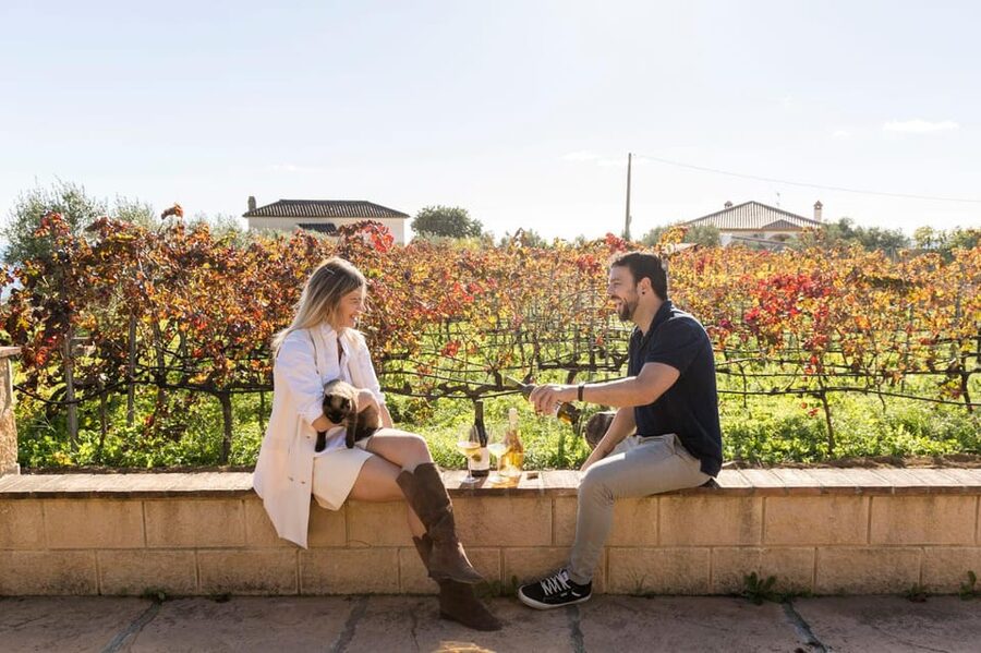 Malaga: Organic Vineyard Tour with 6 Wines, Tapas & Transfer - Timing, Group Size, and Comfort
