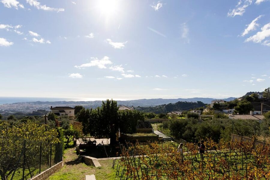 Malaga: Organic Vineyard Tour with 6 Wines, Tapas & Transfer - Who Will Enjoy This More Than a Standard Winery Visit?
