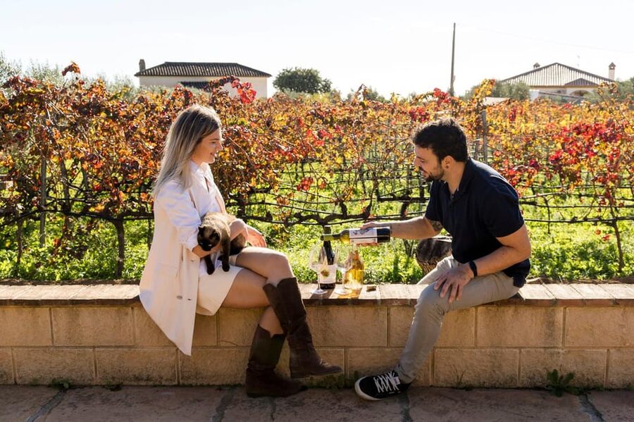 Malaga: Organic Vineyard Tour with 6 Wines, Tapas & Transfer - Walking the Organic Vines at Viñedo Malvajio