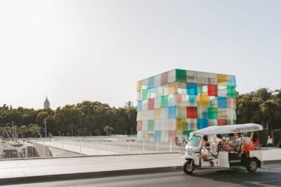 Private City Tour by Eco Tuk Tuk