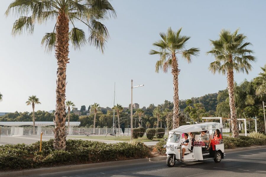 Malaga: Private City Tour by Eco Tuk Tuk - Pompidou Museum and Malaga’s modern port