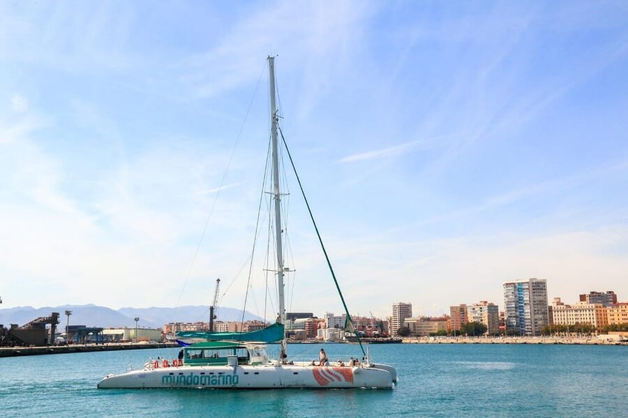 Malaga: Sailing Catamaran with Swimming and Paella Lunch - Practical tips for a smoother outing