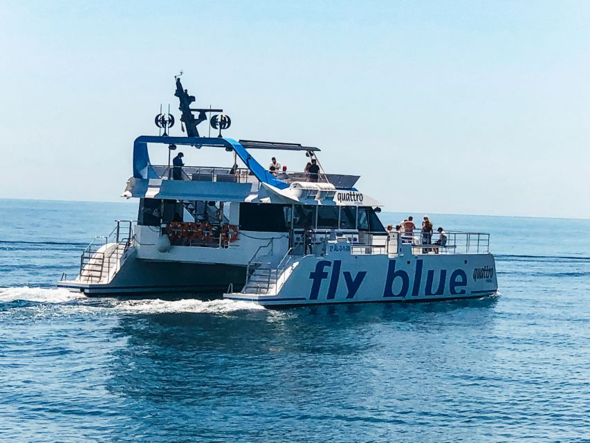 Málaga: Scenic Catamaran Cruise - Accessibility and practical limits