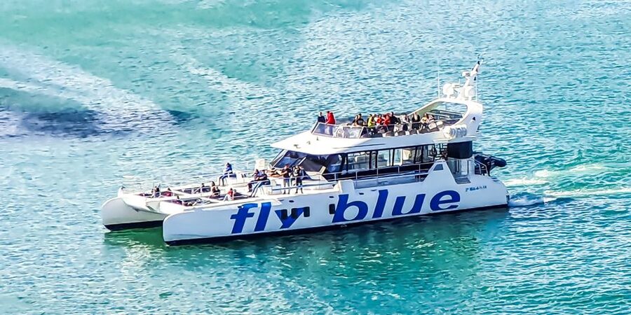 Málaga: Scenic Catamaran Cruise - A scenic cruise, not a guided tour