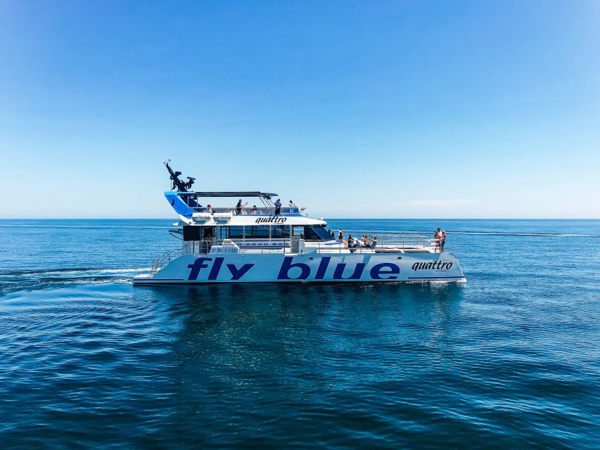 Málaga: Scenic Catamaran Cruise - How much value do you get for $15?