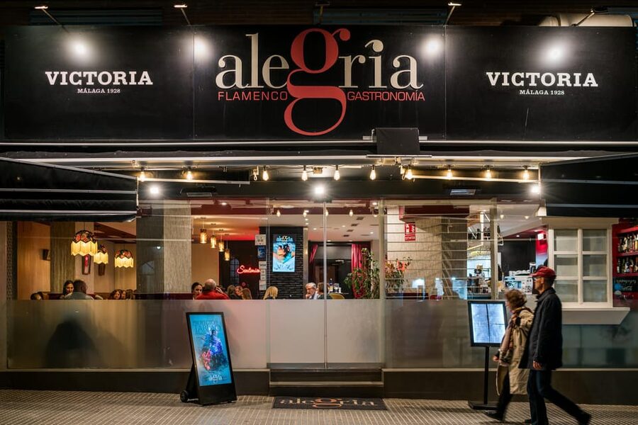 Malaga: Show and Food at Alegría Flamenco and Restaurant - Is the $67 price fair?