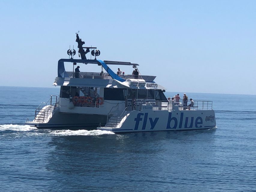 Málaga: Sunset Catamaran Trip - Practical tips for a better evening