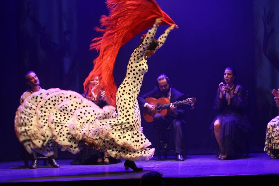 Malaga: Teatro Flamenco Malaga Live Flamenco Show - What happens during the one-hour show