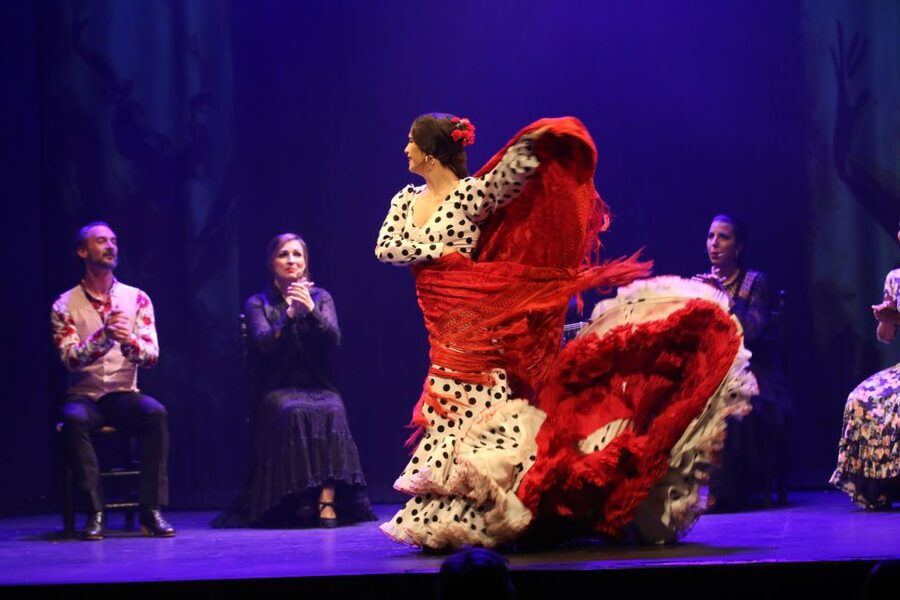 Malaga: Teatro Flamenco Malaga Live Flamenco Show - The strongest moments: feet, voice, and guitar