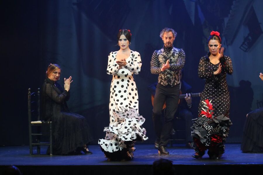 Malaga: Teatro Flamenco Malaga Live Flamenco Show - Who should book Teatro Flamenco Malaga?