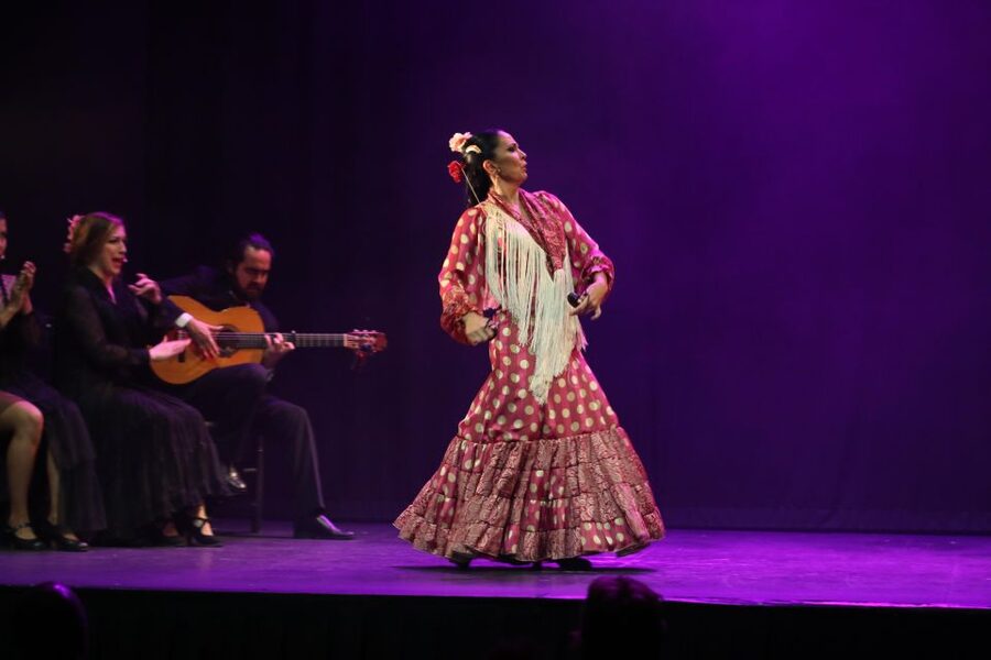 Malaga: Teatro Flamenco Malaga Live Flamenco Show - Entering the small theater in central Malaga