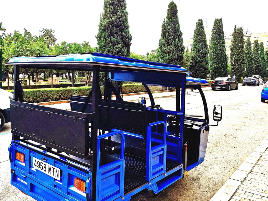 Malaga: Tuk tuk tour - Key points to know before booking