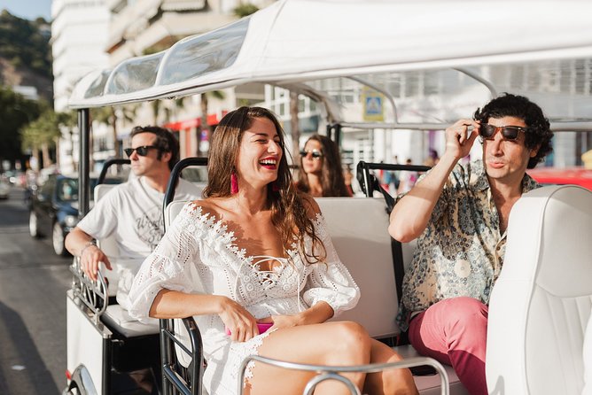 Malaga Welcome Tour with Local Guide in Eco Tuk Tuk Private - The port and Centre Pompidou Málaga