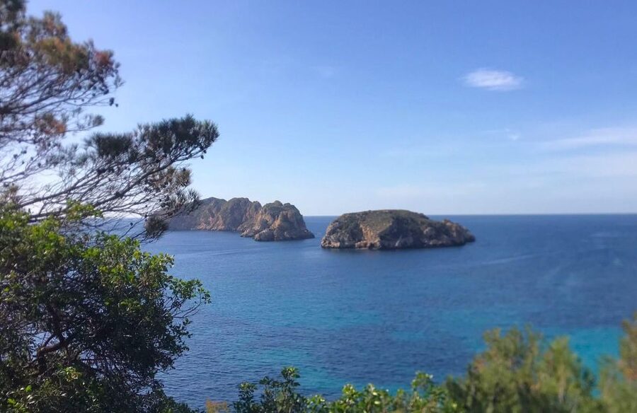 Mallorca: 2-Hour Coastline & Malgrat Islands Catamaran Tour - Paguera, Santa Ponsa, Camp de Mar, and Calvià by sea