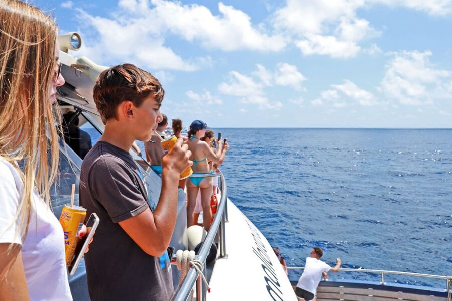 Mallorca: 2-Hour Dolphin Watching Cruise & Glass-Bottom Boat - Sun, Shade, Snacks, and a Swim Stop