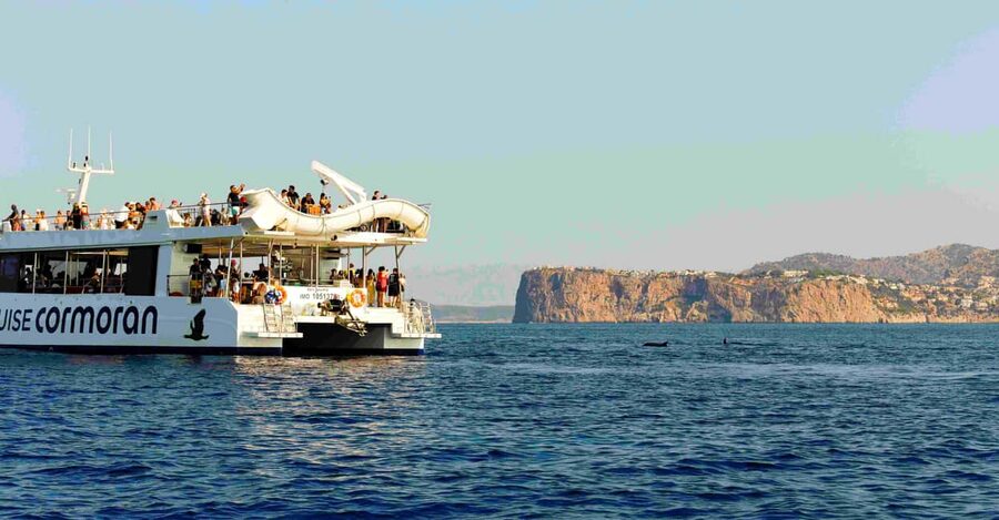 Mallorca: 2-Hour Dolphin Watching Cruise & Glass-Bottom Boat - Is the $37 Price Good Value?