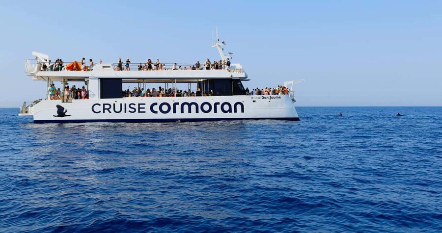 Mallorca: 2-Hour Dolphin Watching Cruise & Glass-Bottom Boat - Booking, Cancellations, and Weather