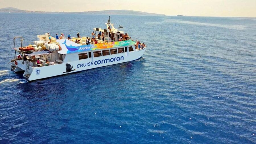 Mallorca: 2-Hour Dolphin Watching Cruise & Glass-Bottom Boat - Two Hours Along Mallorca’s Coast