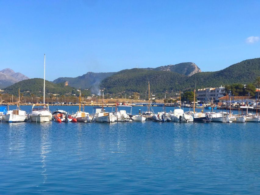 Mallorca: Catamaran Coastal Cruise with Lunch - Key points to know before you book