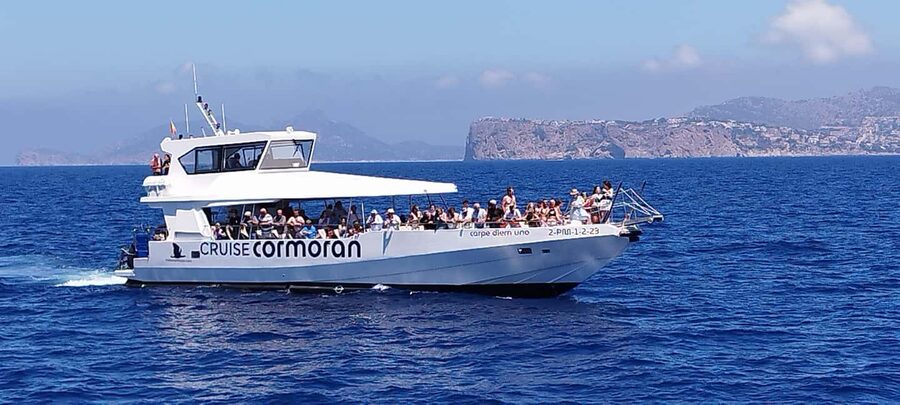 Mallorca: Catamaran Coastal Cruise with Lunch - Who will enjoy this Mallorca cruise most?