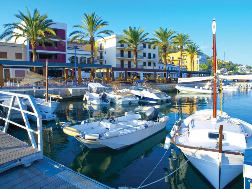 Mallorca: Catamaran Coastal Cruise with Lunch - A relaxed way to see Mallorca from the water