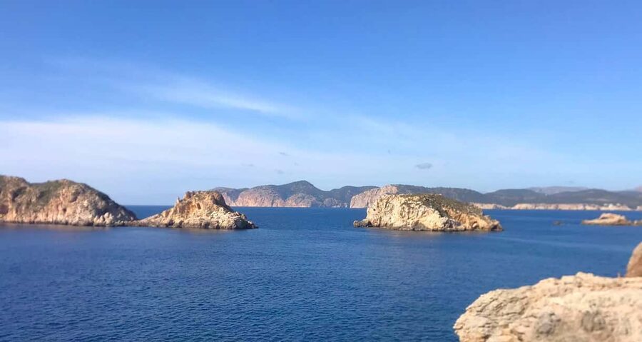 Mallorca: Catamaran Coastal Cruise with Lunch - Port Andratx gives the cruise a change of pace