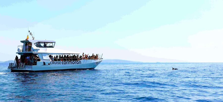 Mallorca: Catamaran Coastal Cruise with Lunch - Lunch on board: filling, simple, and occasionally busy