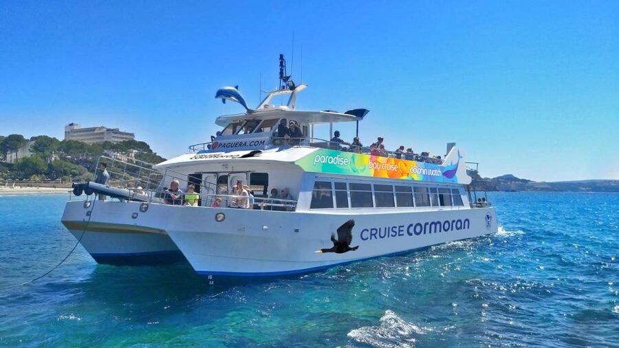 Mallorca: Catamaran Coastal Cruise with Lunch - What the cruise feels like in practice