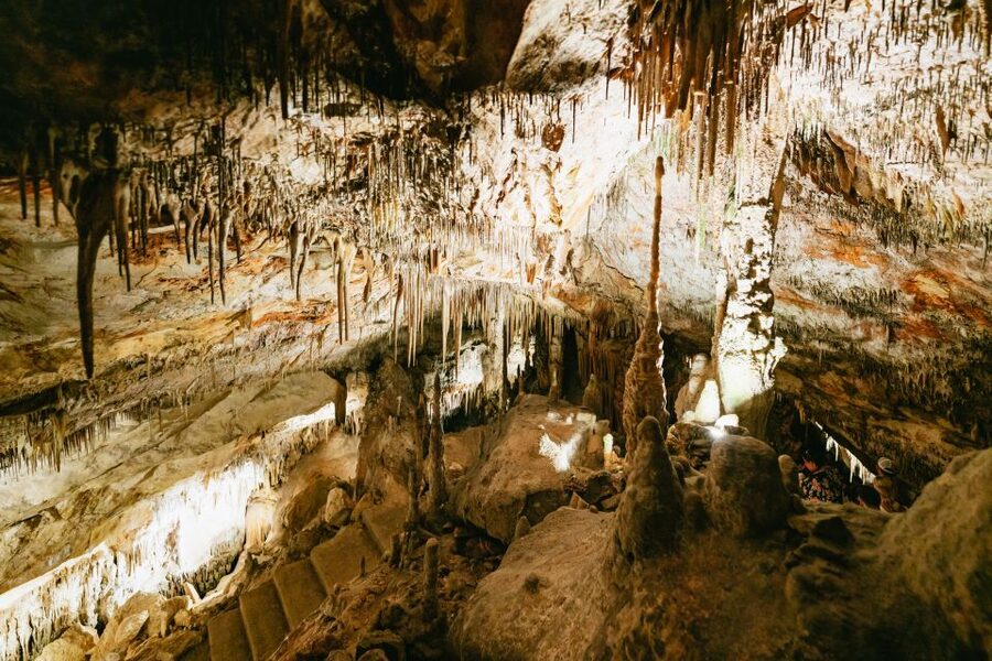 Mallorca: Caves of Drach Day Trip & Optional Caves of Hams - What the $62 price gets you