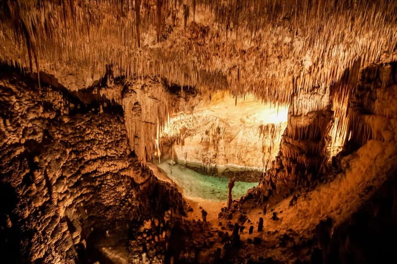 Mallorca: Caves of Drach Tour from the North with Boat Trip - What the coach ride adds to the day