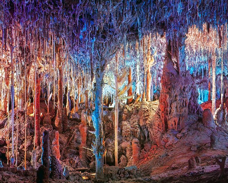 Mallorca: Dinosaurland and Caves of Hams Combined Ticket - Key points at a glance