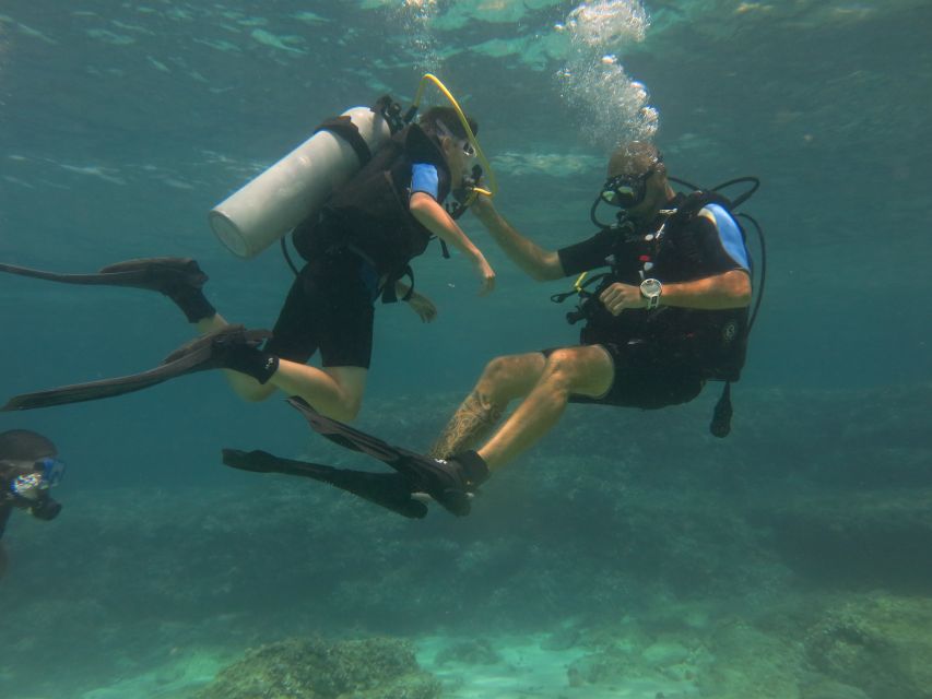 Mallorca: Discover Scuba Diving for Beginners - Should you book Mallorca Discover Scuba?
