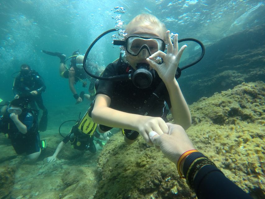 Mallorca: Discover Scuba Diving for Beginners - Transport, meeting points, and the day’s rhythm