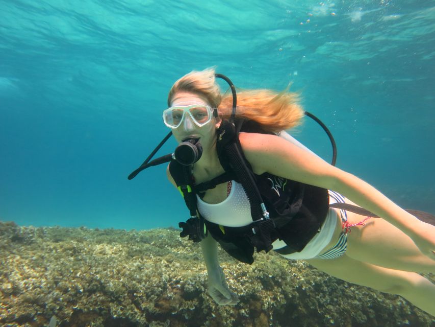 Mallorca: Discover Scuba Diving for Beginners - Who will enjoy this most