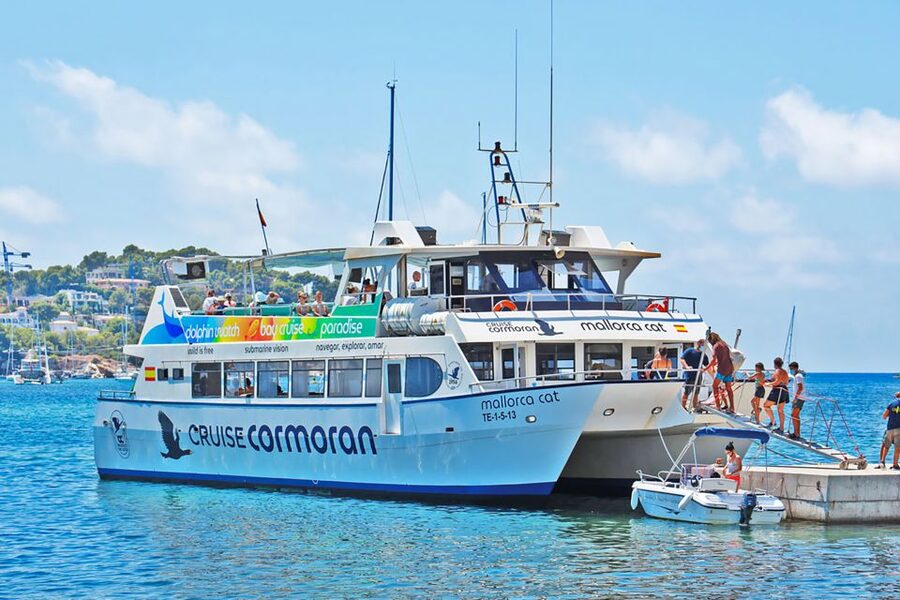 Mallorca: Dolphin Watching Cruise - The glass-bottom lower deck