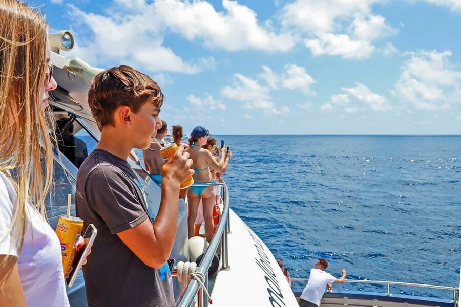 Mallorca: Dolphin Watching Cruise - A refreshing swim in clear water