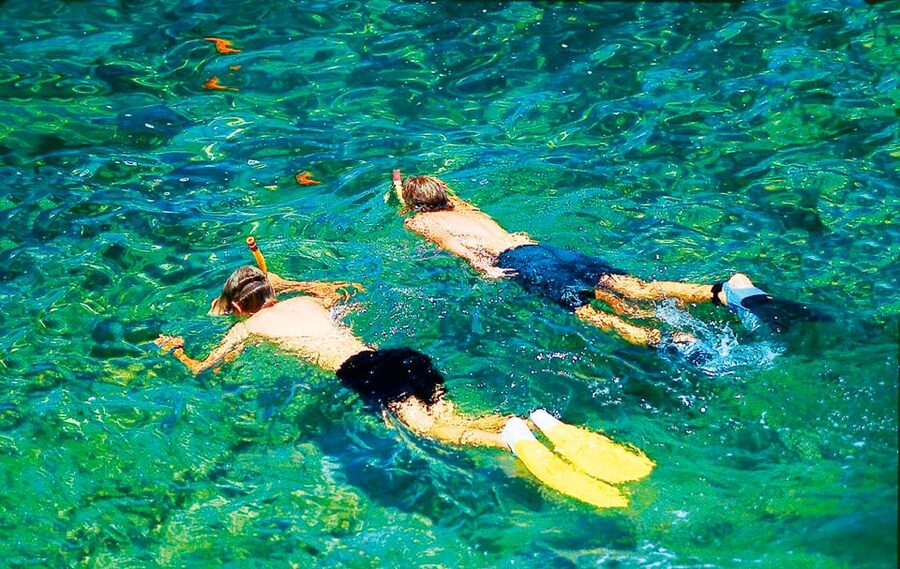 Mallorca: Dolphin Watching Cruise - Who will enjoy this Mallorca cruise most?