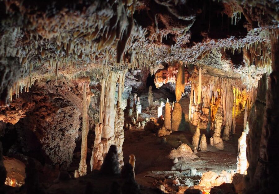 Mallorca: Drach and Hams Caves, and Porto Cristo Day Tour - What the $93 price really includes