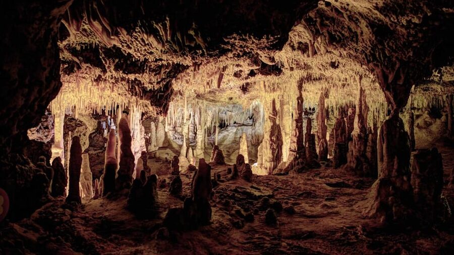 Mallorca: Drach Caves, Lake Martel, & Pearl Factory Day Trip - Key points before you book