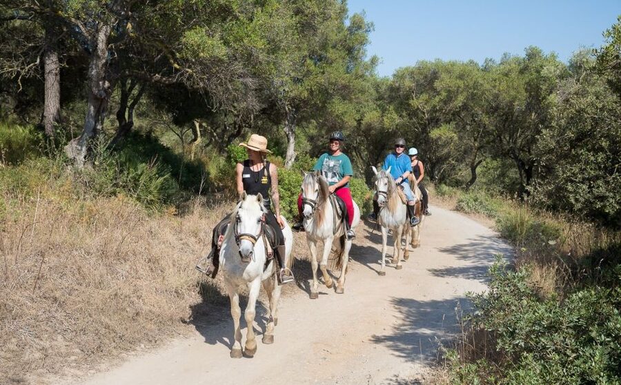 Mallorca: Horseback Riding Excursion and Wine Tasting - Riding through the Puig de Sant Martí forest