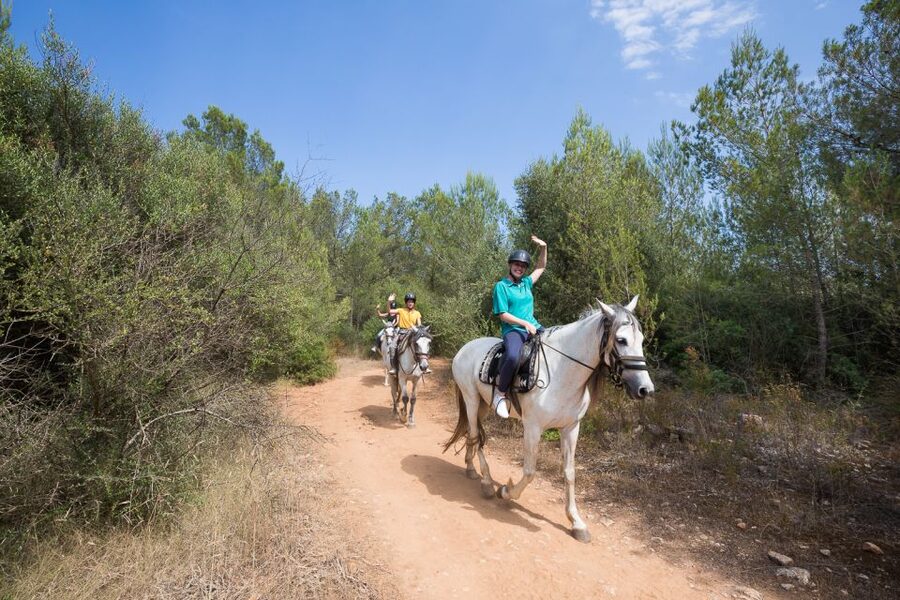 Mallorca: Horseback Riding Excursion and Wine Tasting - Practical tips for a smoother visit