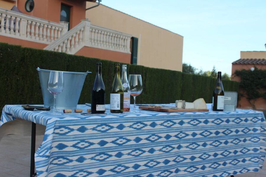 Mallorca: Horseback Riding Excursion and Wine Tasting - Choosing a horse and getting ready to ride
