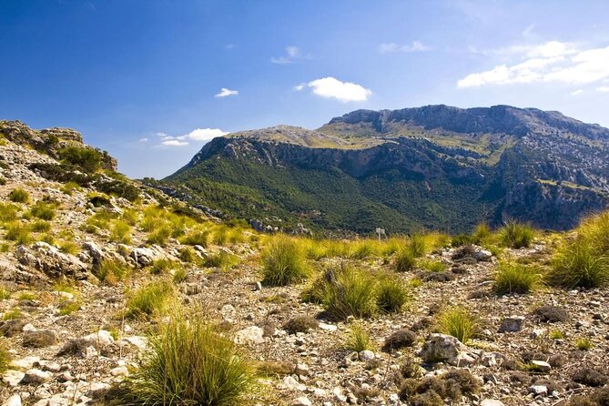 Mallorca in One Day Sightseeing Tour with Boat Ride and Vintage Train - Key points to know before booking