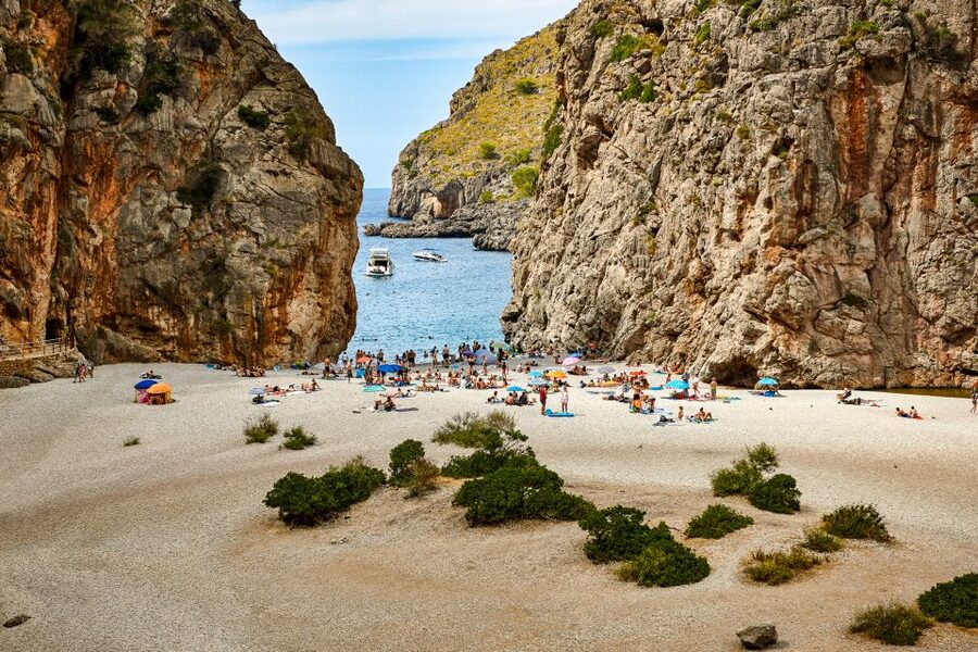 Mallorca: Island Trip by Train, Tramway, and Boat - Key points to know before booking
